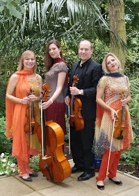 Crystal Palace String Quartet 1086453 Image 2